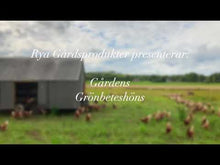 Ladda och spela upp video i Gallerivisaren, Grönbetesägg 24st (normalstora)
